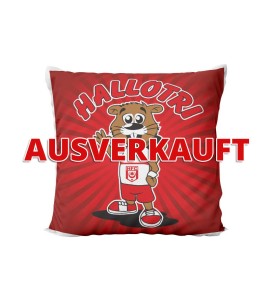 Kissen Hallotri